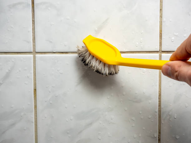 Best Mold Removal Company Near Me  in Raymond, MS