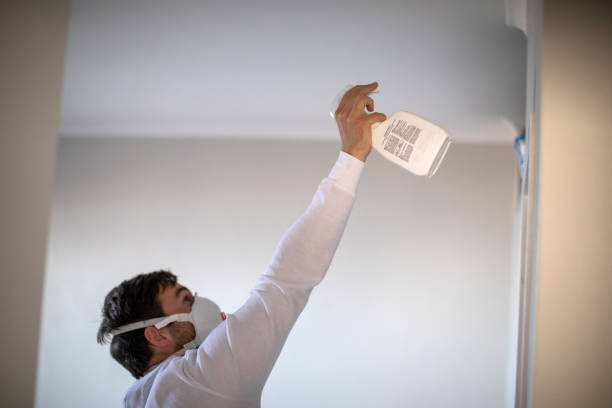 Best Best Mold Removal Companies  in Raymond, MS
