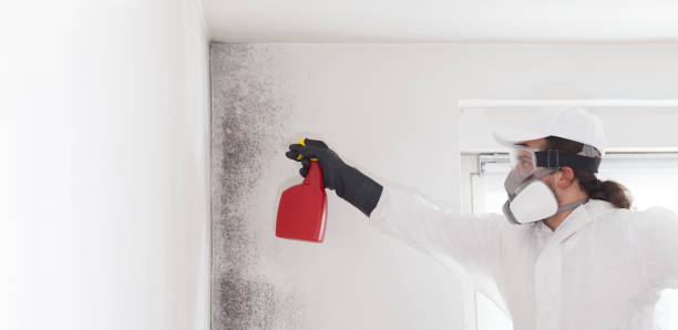 Best Commercial Mold Removal  in Raymond, MS